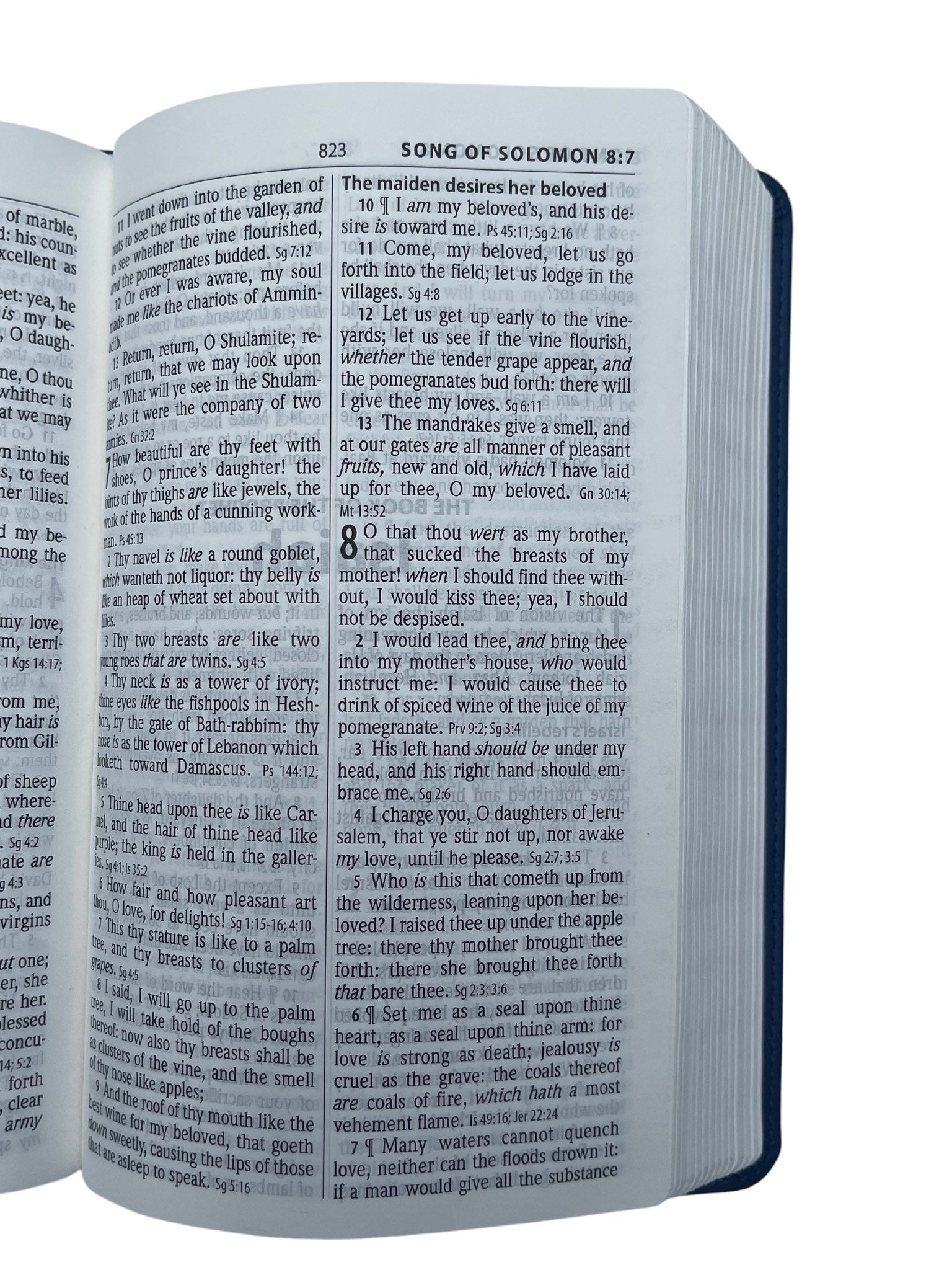 Personalized ESV Bible, Brown Imitation Leather Cover