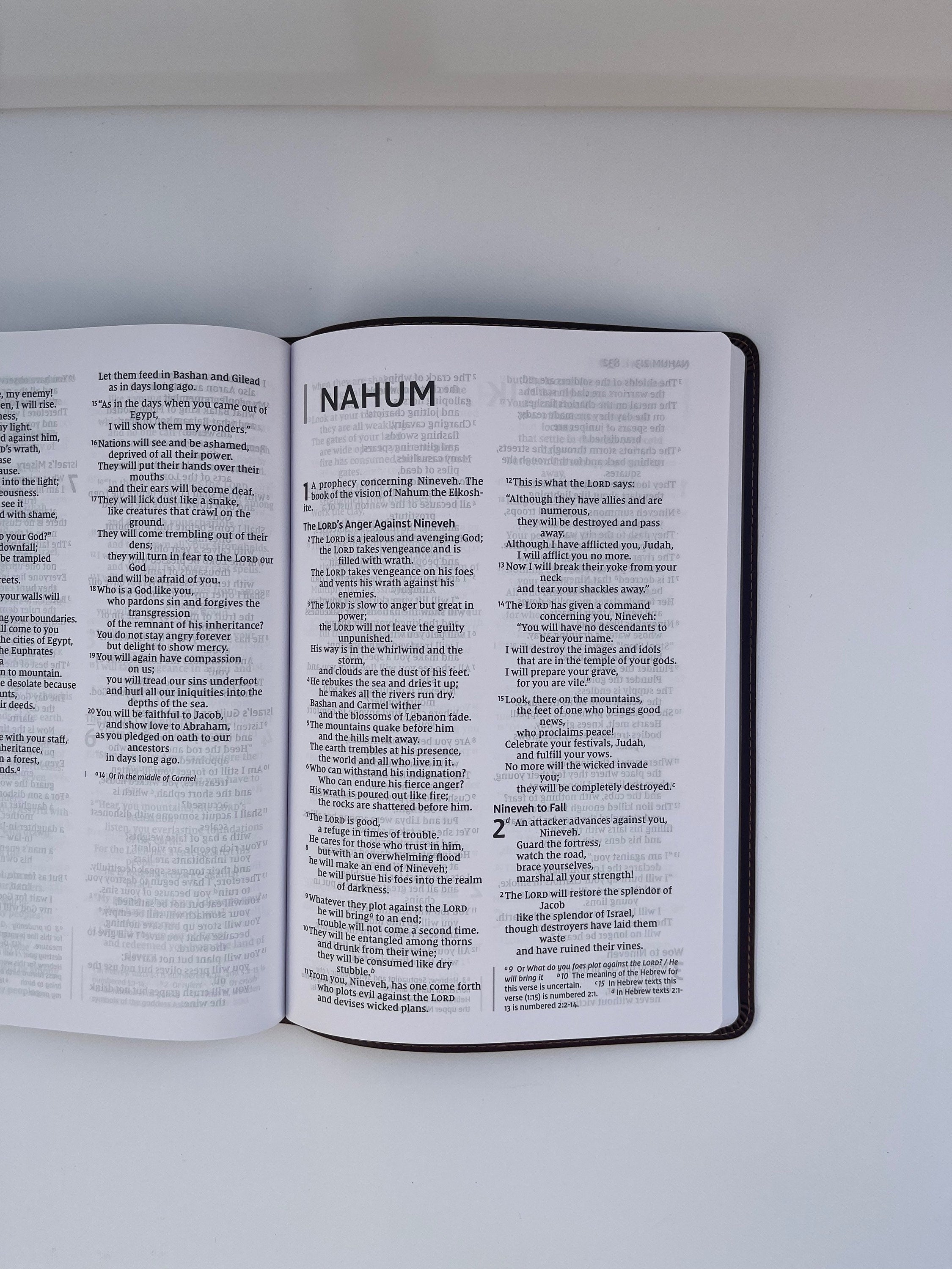 Custom Engraved NIV Leather Bible, Large Print, Personalized Gift