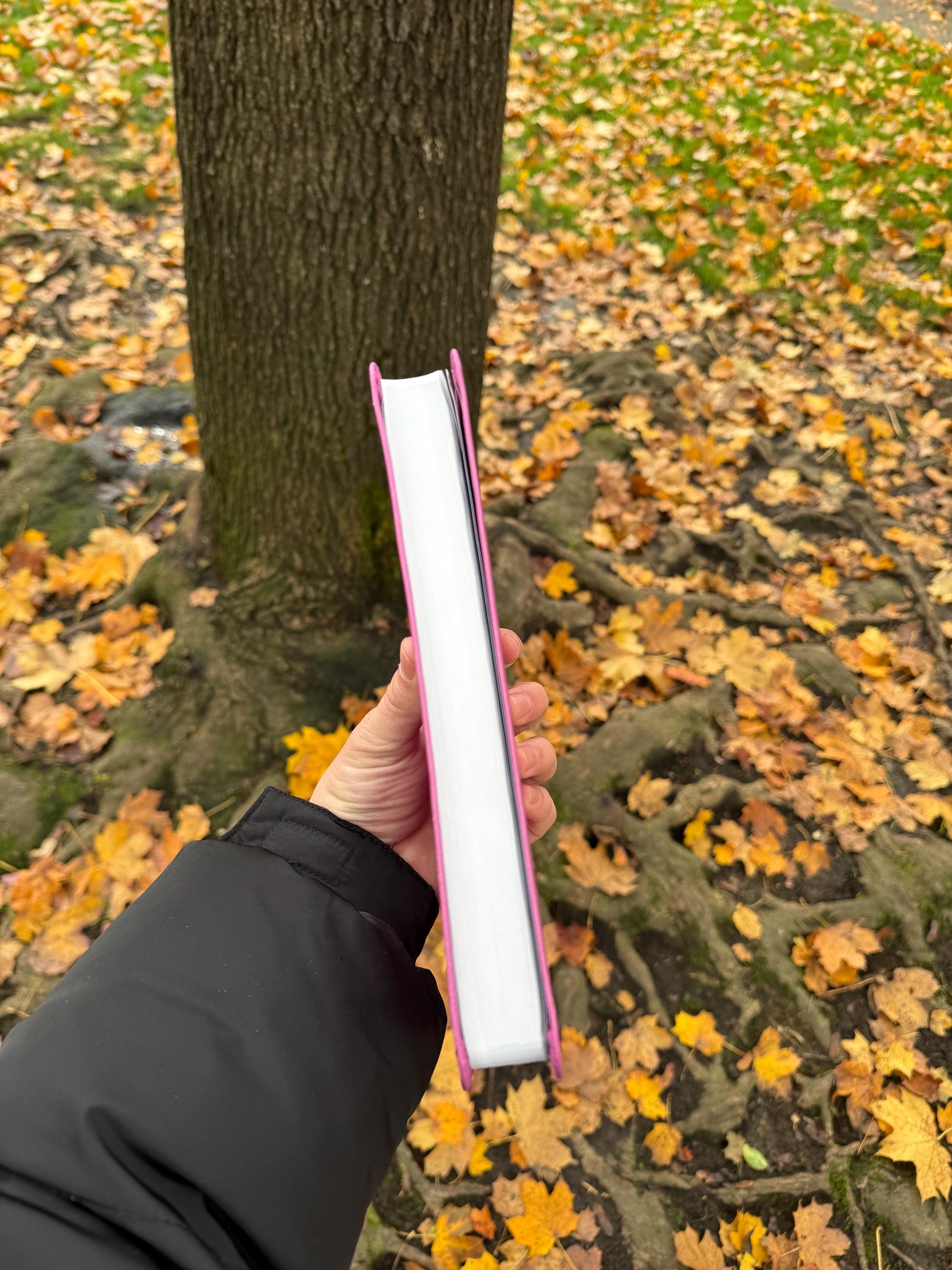 NIV Pink Leathersoft Thinline Bible • Women's Edition